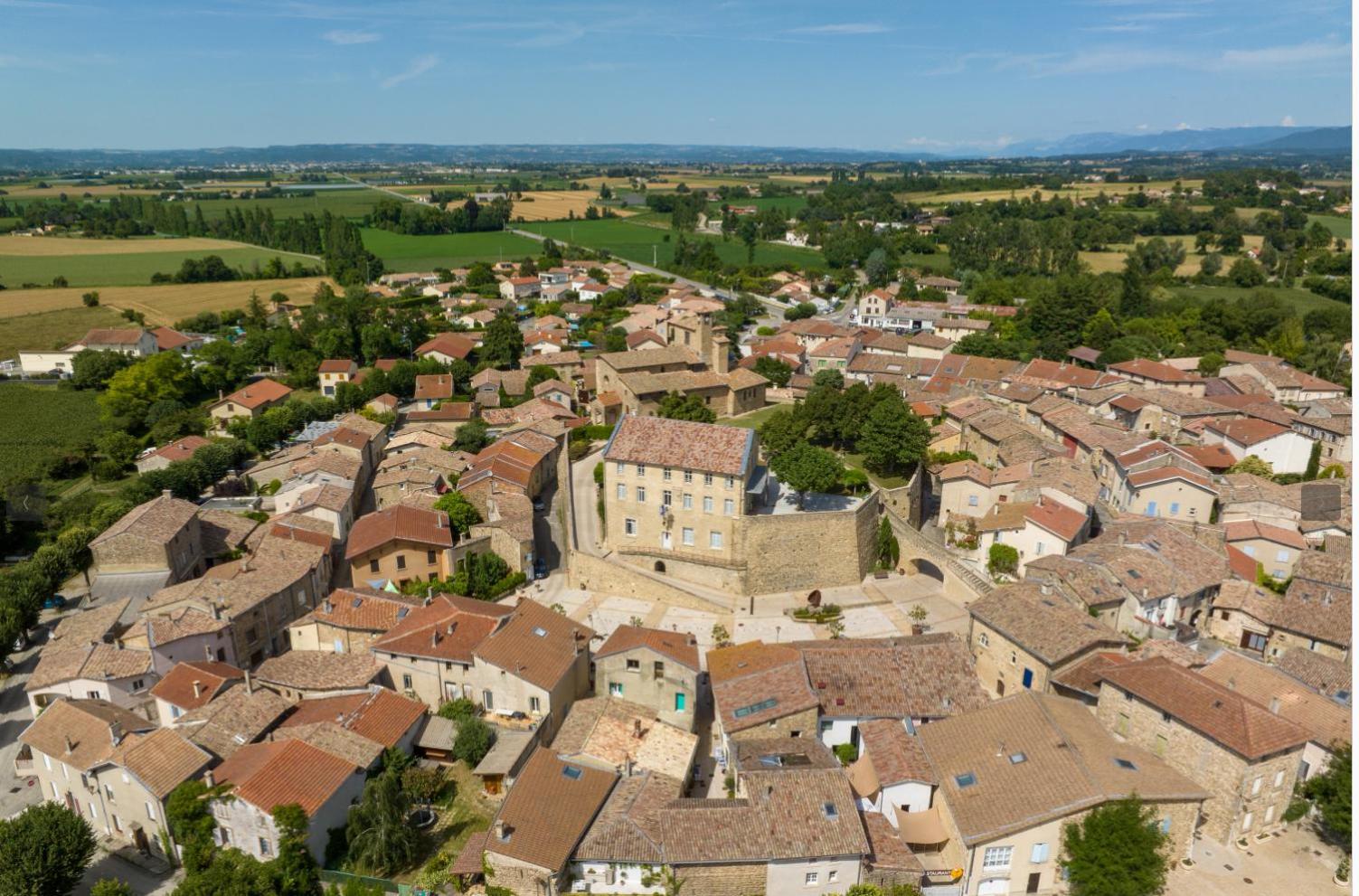 Chateau De Vaugelas - Charmant Domaine Pres De Valence Alixan Exterior foto